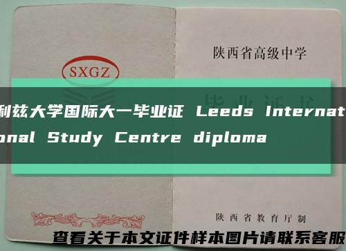 利兹大学国际大一毕业证 Leeds International Study Centre diploma缩略图