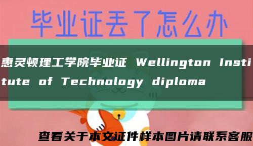 惠灵顿理工学院毕业证 Wellington Institute of Technology diploma缩略图