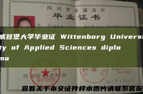 威登堡大学毕业证 Wittenborg University of Applied Sciences diploma缩略图