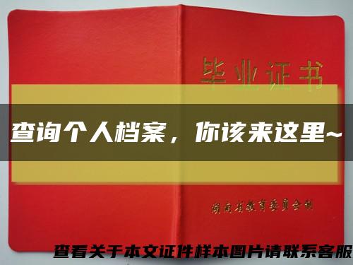 查询个人档案，你该来这里~缩略图