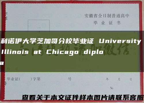 伊利诺伊大学芝加哥分校毕业证 University of Illinois at Chicago diploma缩略图