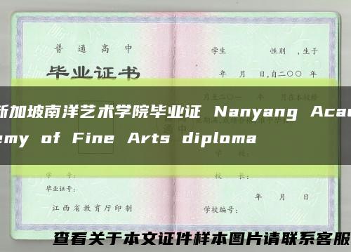 新加坡南洋艺术学院毕业证 Nanyang Academy of Fine Arts diploma缩略图