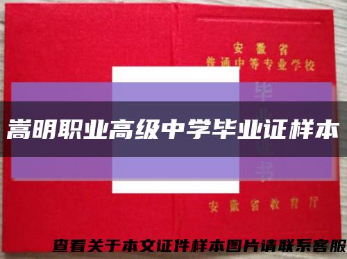 嵩明职业高级中学毕业证样本缩略图