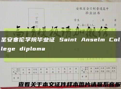 圣安塞伦学院毕业证 Saint Anselm College diploma缩略图
