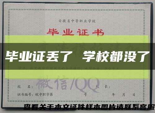 毕业证丢了 学校都没了缩略图