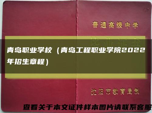 青岛职业学校（青岛工程职业学院2022年招生章程）缩略图