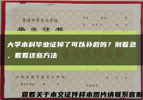 大学本科毕业证掉了可以补救吗？别着急，看看这些方法缩略图