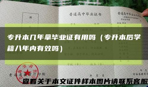 专升本几年拿毕业证有用吗（专升本后学籍八年内有效吗）缩略图