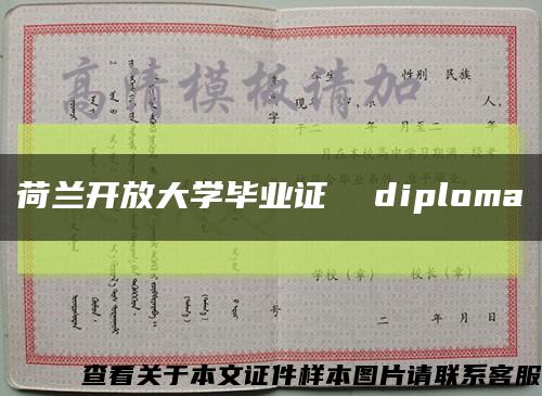 荷兰开放大学毕业证  diploma缩略图