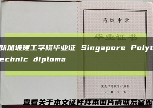 新加坡理工学院毕业证 Singapore Polytechnic diploma缩略图