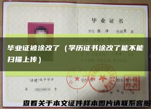 毕业证被涂改了（学历证书涂改了能不能扫描上传）缩略图