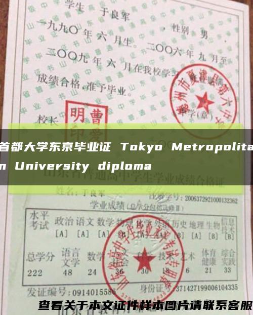 首都大学东京毕业证 Tokyo Metropolitan University diploma缩略图