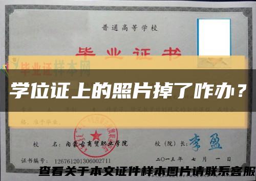 学位证上的照片掉了咋办？缩略图