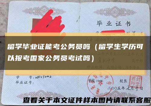 留学毕业证能考公务员吗（留学生学历可以报考国家公务员考试吗）缩略图
