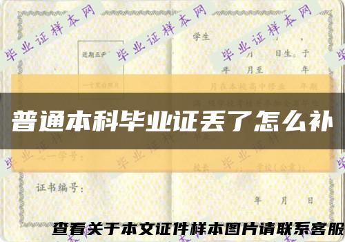 普通本科毕业证丢了怎么补缩略图