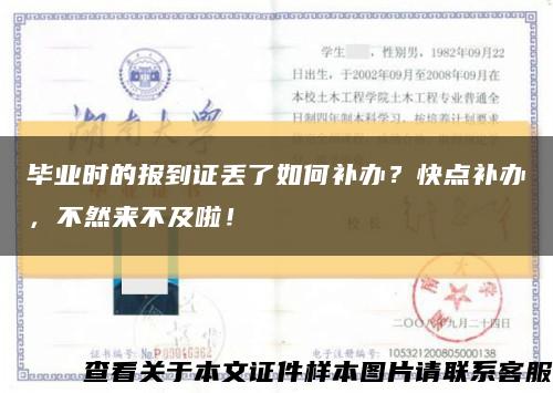 毕业时的报到证丢了如何补办？快点补办，不然来不及啦！缩略图