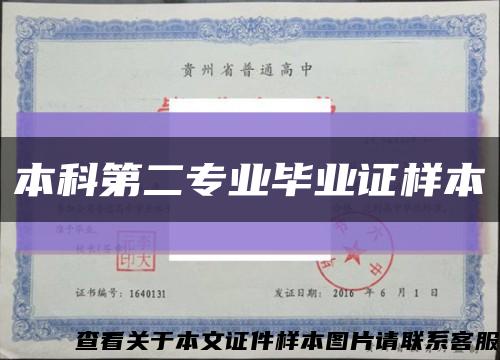 本科第二专业毕业证样本缩略图