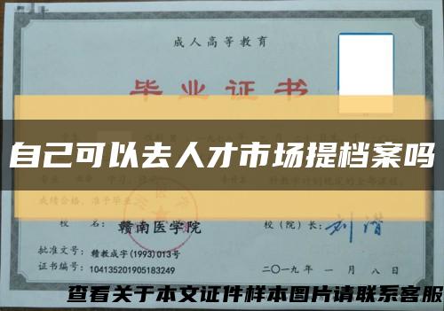 自己可以去人才市场提档案吗缩略图