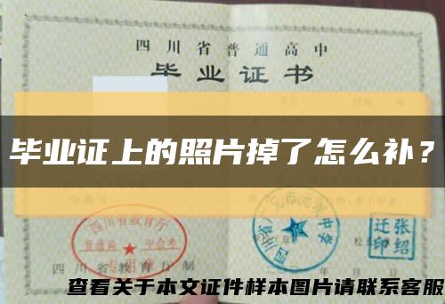毕业证上的照片掉了怎么补？缩略图