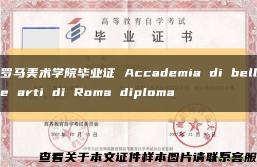 罗马美术学院毕业证 Accademia di belle arti di Roma diploma缩略图