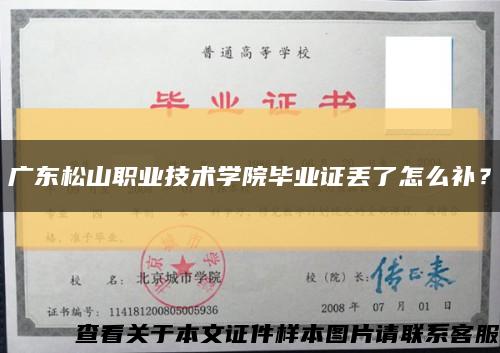 广东松山职业技术学院毕业证丢了怎么补？缩略图