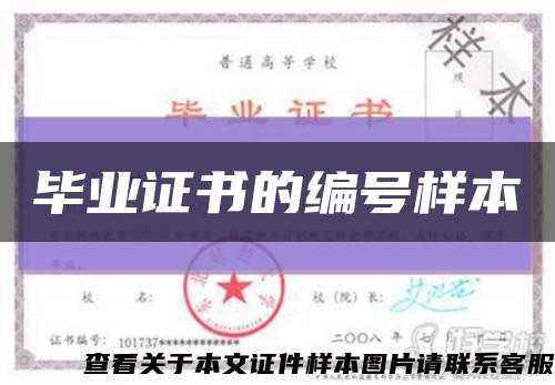 毕业证书的编号样本缩略图