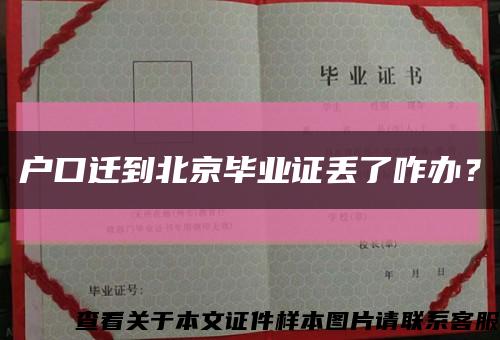 户口迁到北京毕业证丢了咋办？缩略图