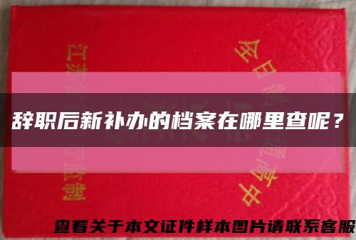 辞职后新补办的档案在哪里查呢？缩略图