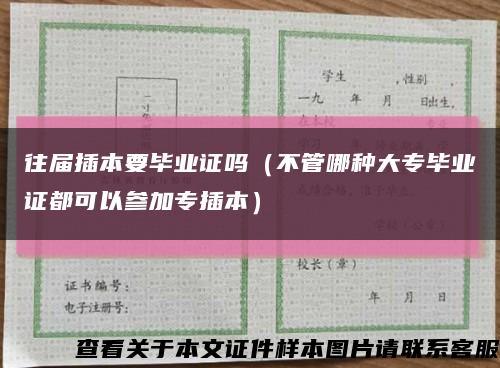 往届插本要毕业证吗（不管哪种大专毕业证都可以参加专插本）缩略图