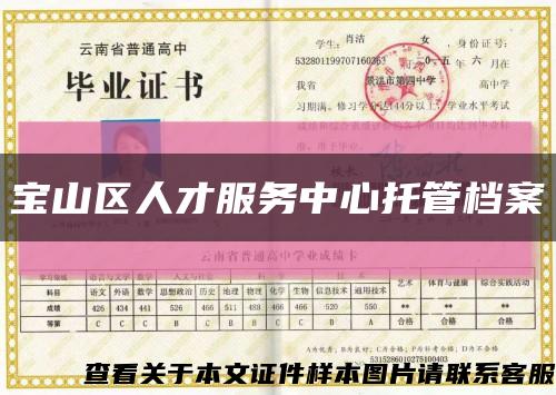 宝山区人才服务中心托管档案缩略图