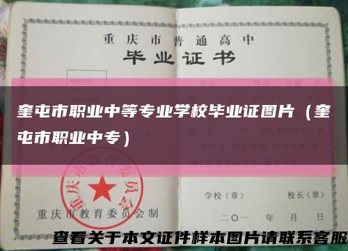 奎屯市职业中等专业学校毕业证图片（奎屯市职业中专）缩略图