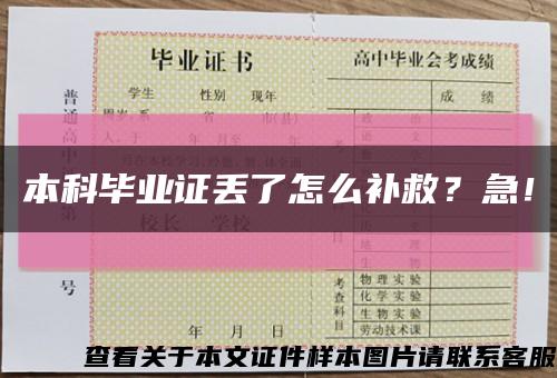 本科毕业证丢了怎么补救？急！缩略图