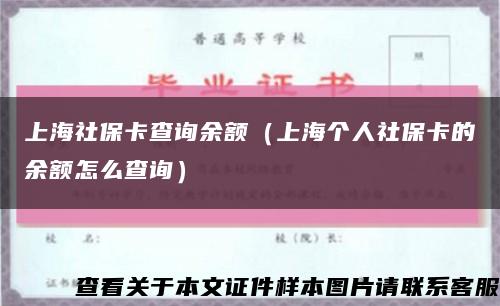 上海社保卡查询余额（上海个人社保卡的余额怎么查询）缩略图