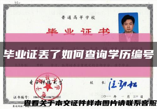 毕业证丢了如何查询学历编号缩略图