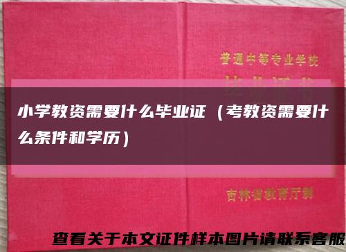 小学教资需要什么毕业证（考教资需要什么条件和学历）缩略图
