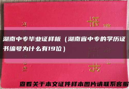 湖南中专毕业证样板（湖南省中专的学历证书编号为什么有19位）缩略图