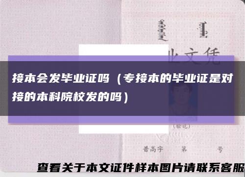 接本会发毕业证吗（专接本的毕业证是对接的本科院校发的吗）缩略图