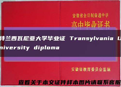 特兰西瓦尼亚大学毕业证 Transylvania University diploma缩略图