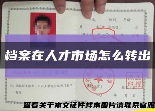 档案在人才市场怎么转出缩略图