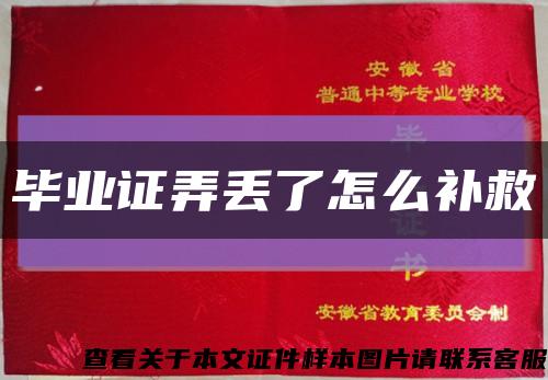 毕业证弄丢了怎么补救缩略图
