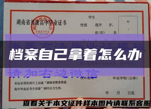 档案自己拿着怎么办缩略图