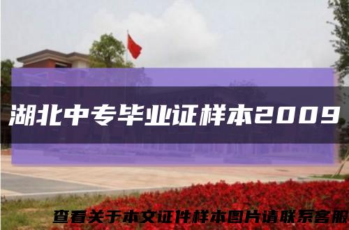 湖北中专毕业证样本2009缩略图