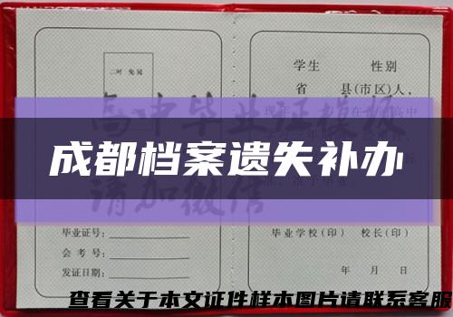 成都档案遗失补办缩略图