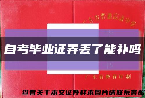 自考毕业证弄丢了能补吗缩略图