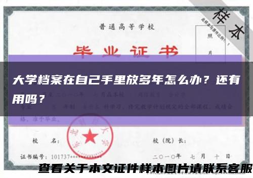 大学档案在自己手里放多年怎么办？还有用吗？缩略图