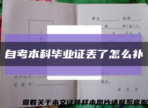 自考本科毕业证丢了怎么补缩略图