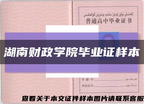 湖南财政学院毕业证样本缩略图