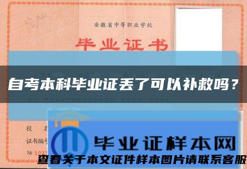 自考本科毕业证丢了可以补救吗？缩略图