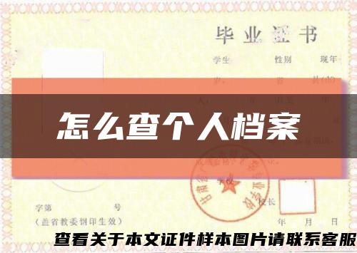 怎么查个人档案缩略图