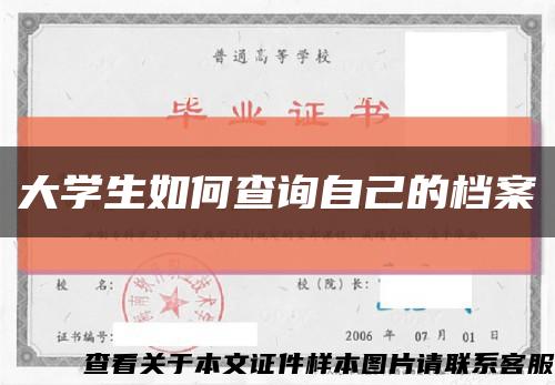 大学生如何查询自己的档案缩略图